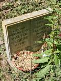 image of grave number 213581